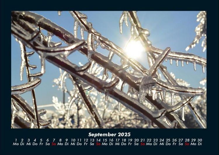 Produktbild: Natur 2025 Fotokalender DIN A4