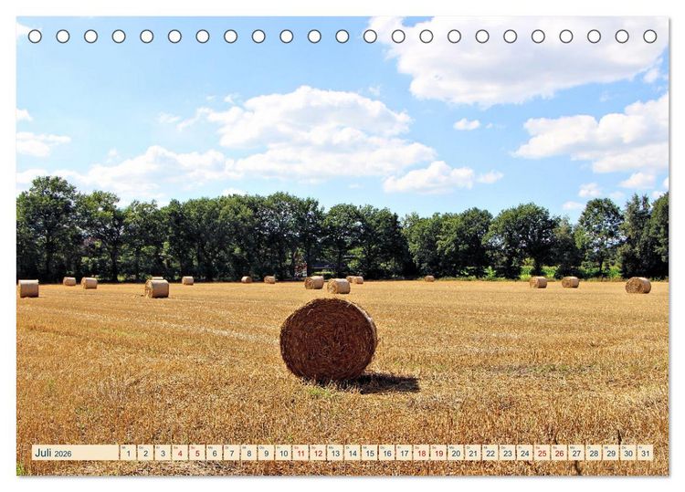 Produktbild: In Apen und umzu (Tischkalender 2026 DIN A5 quer), CALVENDO Monatskalender