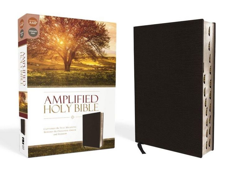 Produktbild: Amplified Holy Bible, Bonded Leather, Black, Thumb Indexed