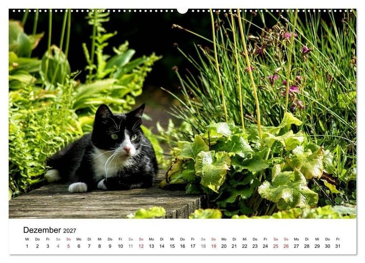 Produktbild: Paradies Naturgarten (Wandkalender 2027 DIN A2 quer), CALVENDO Monatskalender