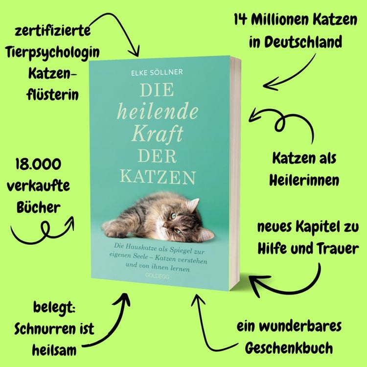 Produktbild: Die heilende Kraft der Katzen, 2. Auflage, Bestseller