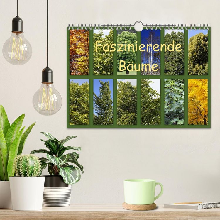 Produktbild: Faszinierende B&auml;ume (Wandkalender 2026 DIN A4 quer), CALVENDO Monatskalender