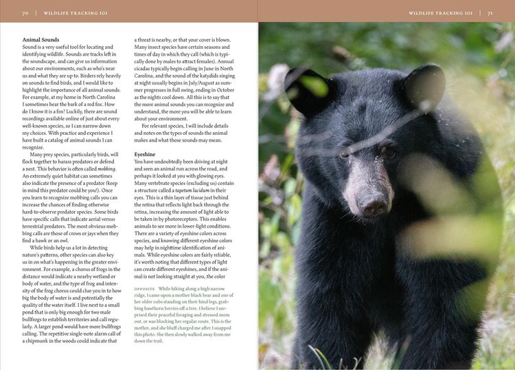 Produktbild: Wildlife of the Southeast