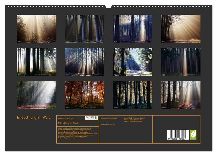 Produktbild: Erleuchtung im Wald (hochwertiger Premium Wandkalender 2026 DIN A2 quer), Kunstdruck in Hochglanz