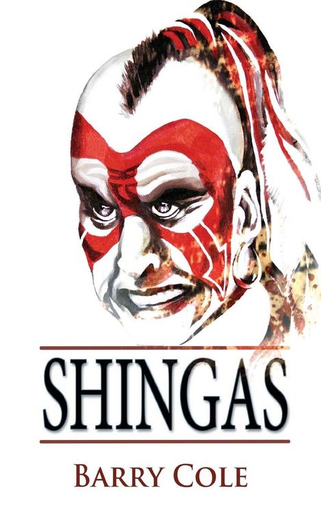 Produktbild: Shingas