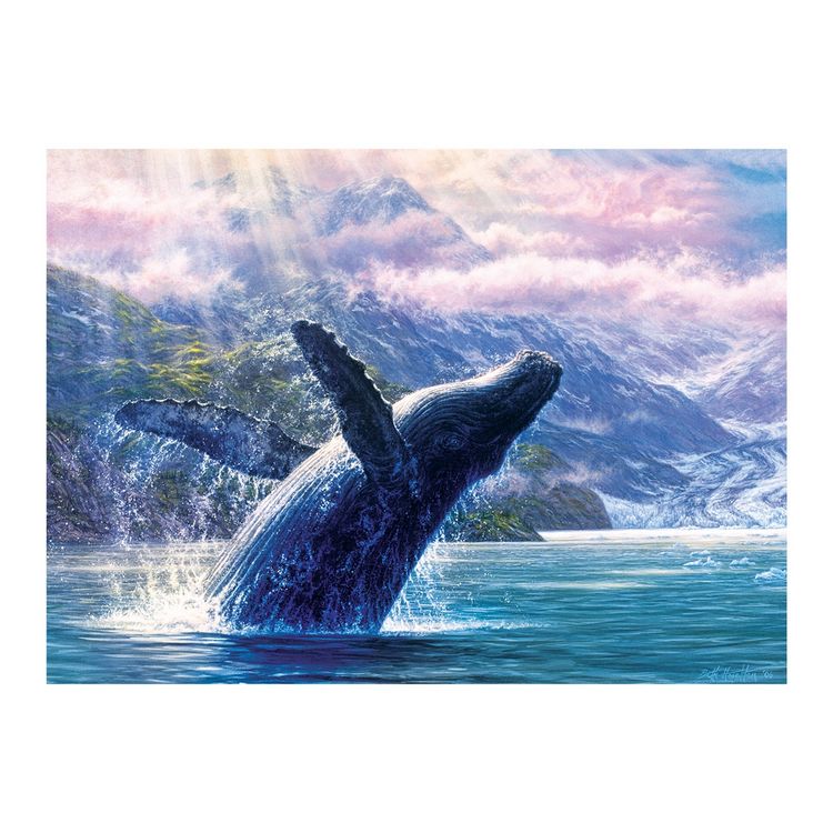 Produktbild: Cobble Hill Buckelwal im Glacier Bay 1000 Teile