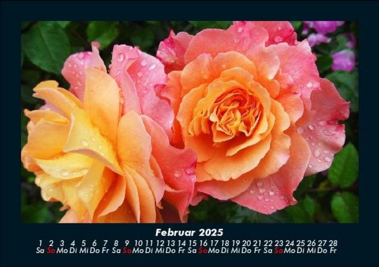 Produktbild: Blumenzauber 2025 Fotokalender DIN A5