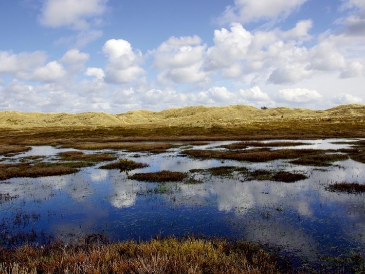 Produktbild: CALVENDO Puzzle D&uuml;nen am Radweg nach Hvide Sande | 1000 Teile Lege-Gr&ouml;&szlig;e 64x48cm Foto-Puzzle f&uuml;r gl&uuml;ckliche Stunden