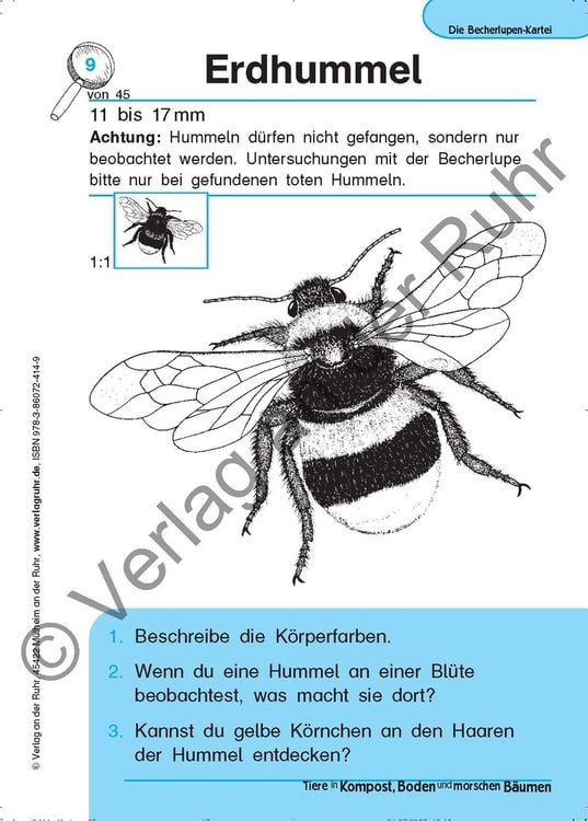 Produktbild: Tiere in Kompost, Boden und morschen B&auml;umen