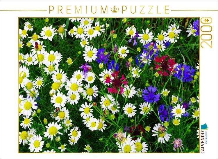 Produktbild: CALVENDO Puzzle Wildkr&auml;uter Sch&ouml;nheiten | 2000 Teile Lege-Gr&ouml;&szlig;e 90x67cm Foto-Puzzle f&uuml;r gl&uuml;ckliche Stunden
