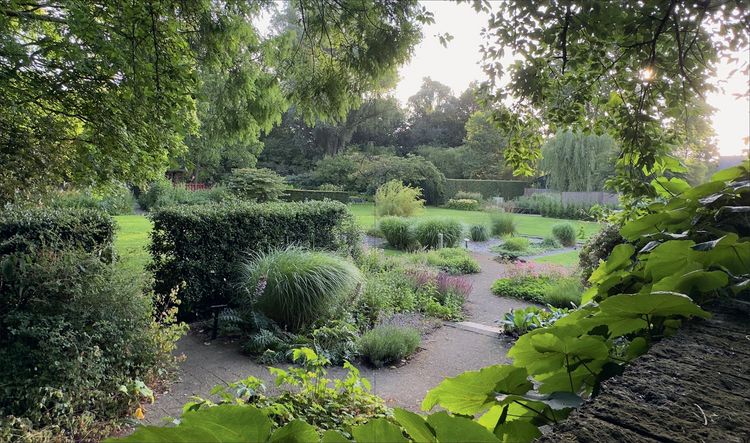 Produktbild: The Gardens of Mien Ruys