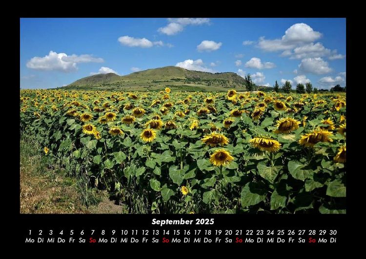 Produktbild: Pflanzen und Bl&uuml;ten 2025 Fotokalender DIN A3