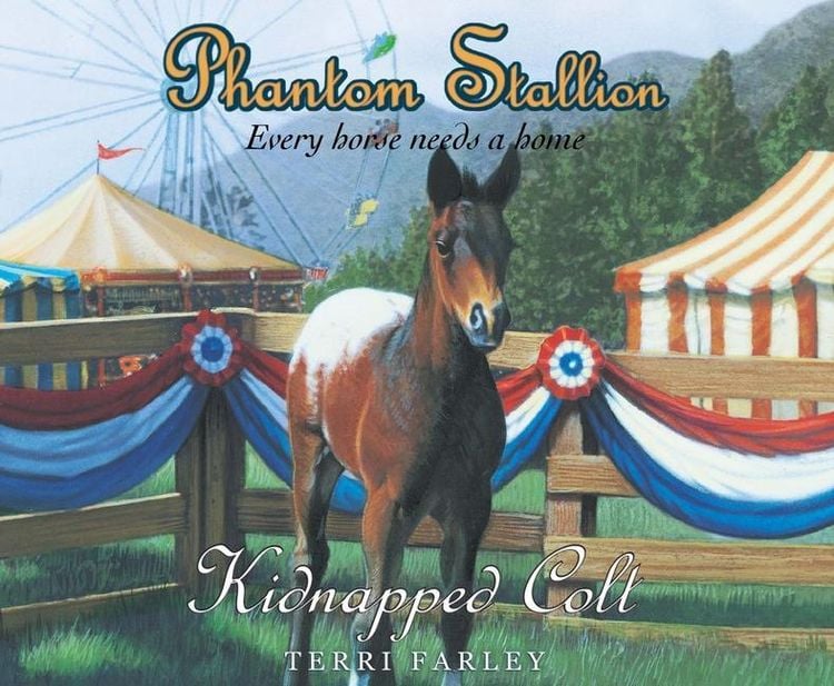 Produktbild: Phantom Stallion, 15: Kidnapped Colt