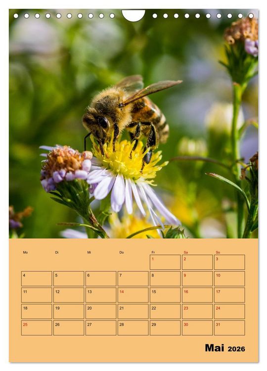 Produktbild: Die Biene und die Farbe gelb (Wandkalender 2026 DIN A4 hoch), CALVENDO Monatskalender