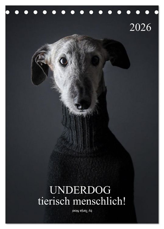 Produktbild: UNDERDOG - Windhundportraits (Tischkalender 2026 DIN A5 hoch), CALVENDO Monatskalender