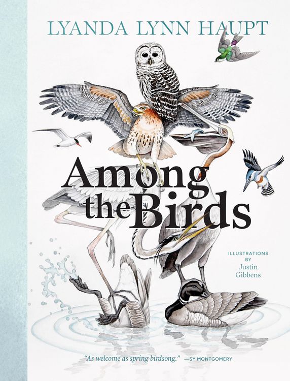 Produktbild: Among the Birds