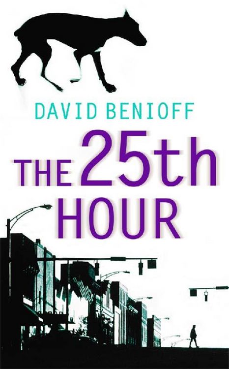 Produktbild: The 25th Hour