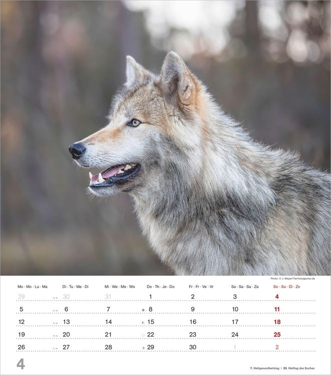 Produktbild: Mythos Wolf 2027