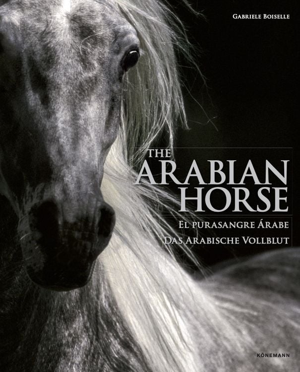 Produktbild: Arabian Horses