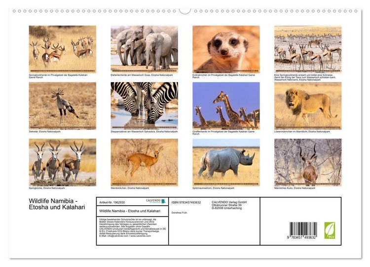 Produktbild: Wildlife Namibia - Etosha und Kalahari (hochwertiger Premium Wandkalender 2026 DIN A2 quer), Kunstdruck in Hochglanz