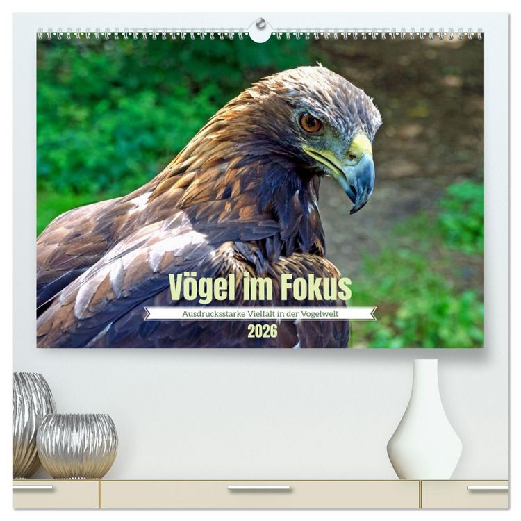 Produktbild: V&ouml;gel im Fokus - Ausdrucksstarke Vielfalt in der Vogelwelt (hochwertiger Premium Wandkalender 2026 DIN A2 quer), Kunstdruck in Hochglanz
