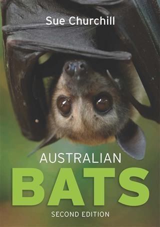 Produktbild: Australian Bats
