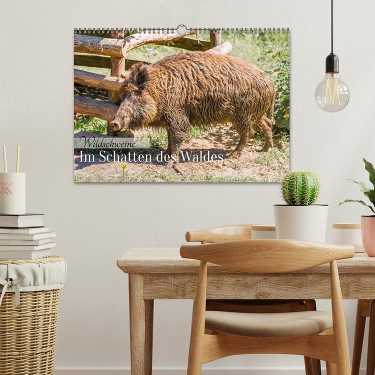Produktbild: Wildschweine - Im Schatten des Waldes (Wandkalender 2026 DIN A3 quer), CALVENDO Monatskalender