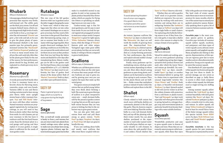 Produktbild: Starter Vegetable Gardens
