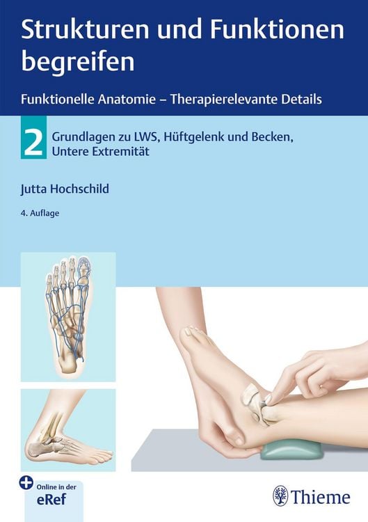 Bild vom Artikel Strukturen und Funktionen begreifen - Funktionelle Anatomie vom Autor Jutta Hochschild
