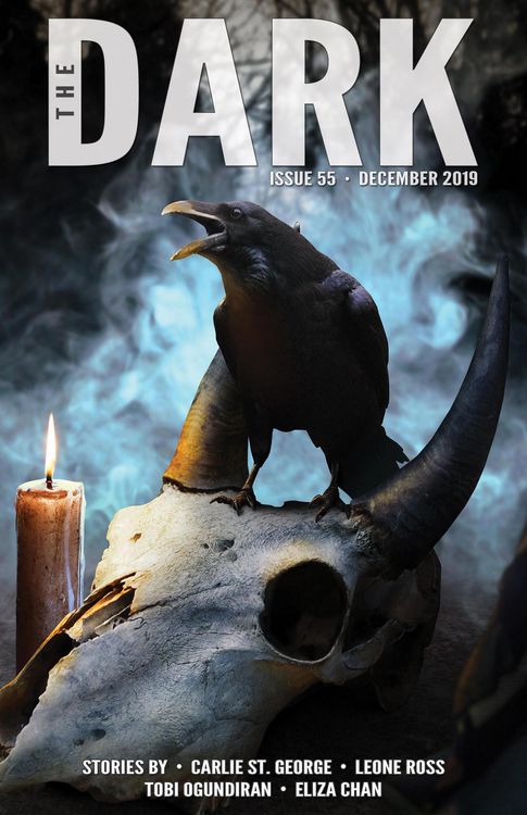 Produktbild: The Dark Issue 55
