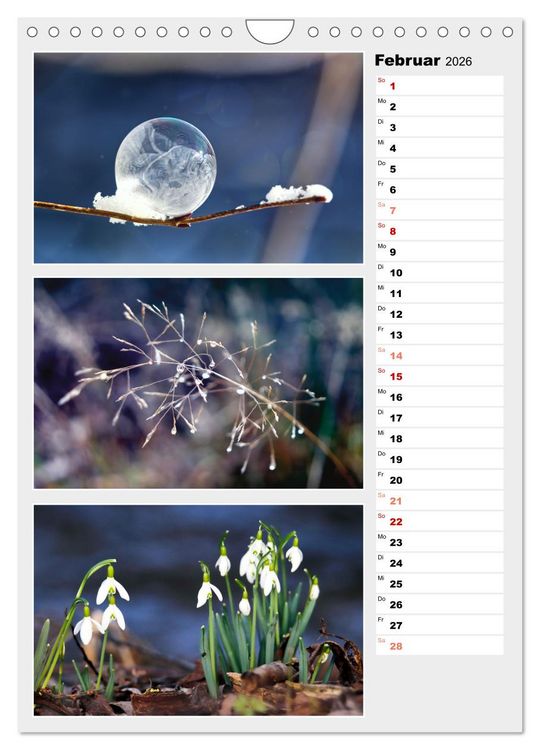 Produktbild: Zauberhafte Farben der Natur (Wandkalender 2026 DIN A4 hoch), CALVENDO Monatskalender