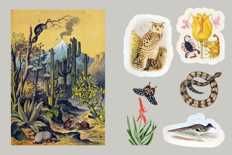 Produktbild: Mystical Earth Sticker Book