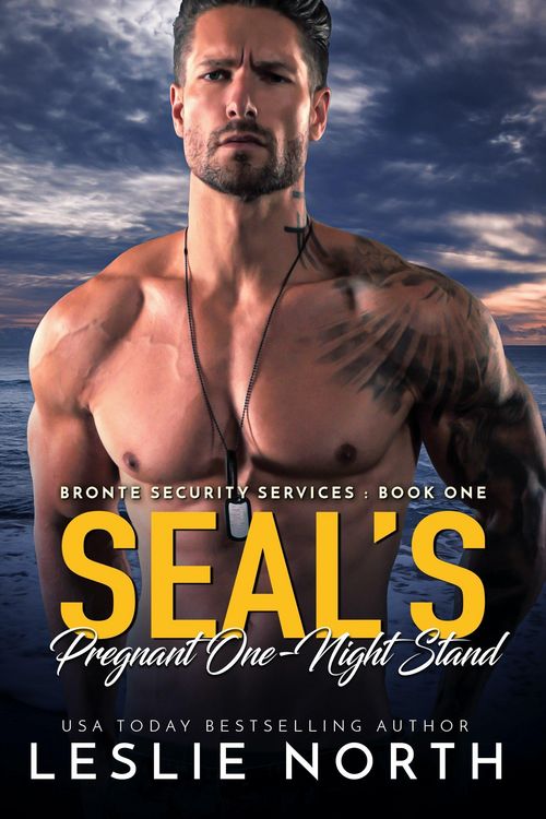 Produktbild: SEAL's Pregnant One-Night Stand (Bronte Security Services, #1)