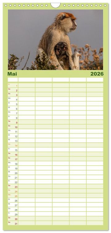 Produktbild: Familienplaner 2026 - Uganda - ein Land der Vielfalt mit 5 Spalten (Wandkalender, 21 x 45 cm) CALVENDO