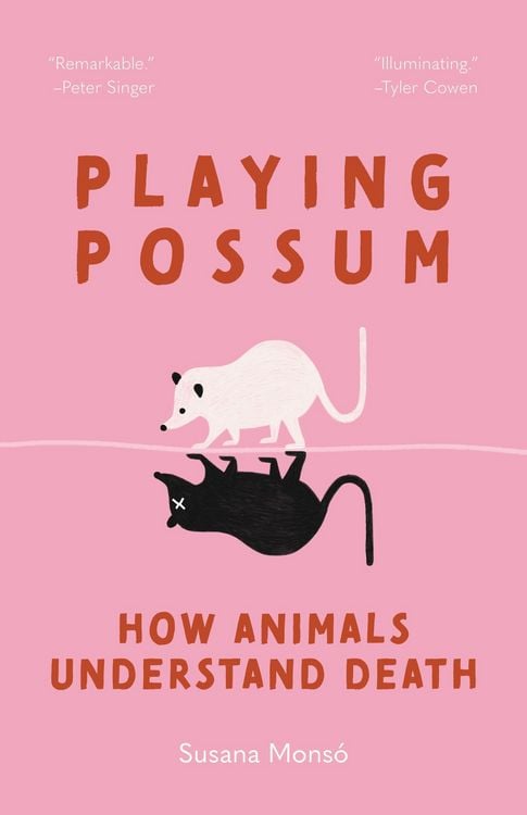 Produktbild: Playing Possum