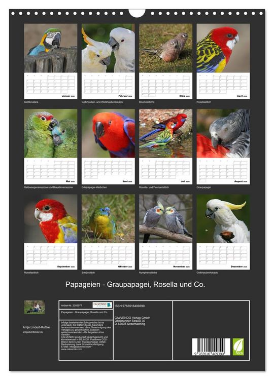Produktbild: Papageien - Graupapagei, Rosella und Co. (Wandkalender 2026 DIN A3 hoch), CALVENDO Monatskalender