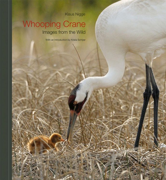 Produktbild: Whooping Crane