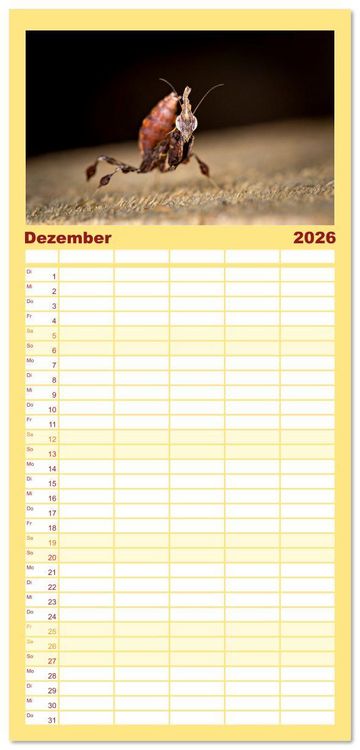 Produktbild: Familienplaner 2026 - Im Bann der Mantis mit 5 Spalten (Wandkalender, 21 x 45 cm) CALVENDO