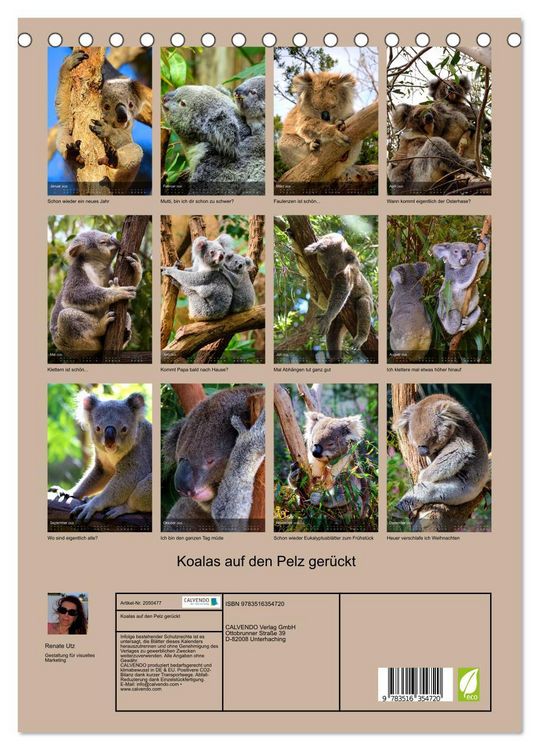 Produktbild: Koalas auf den Pelz ger&uuml;ckt (Tischkalender 2026 DIN A5 hoch), CALVENDO Monatskalender