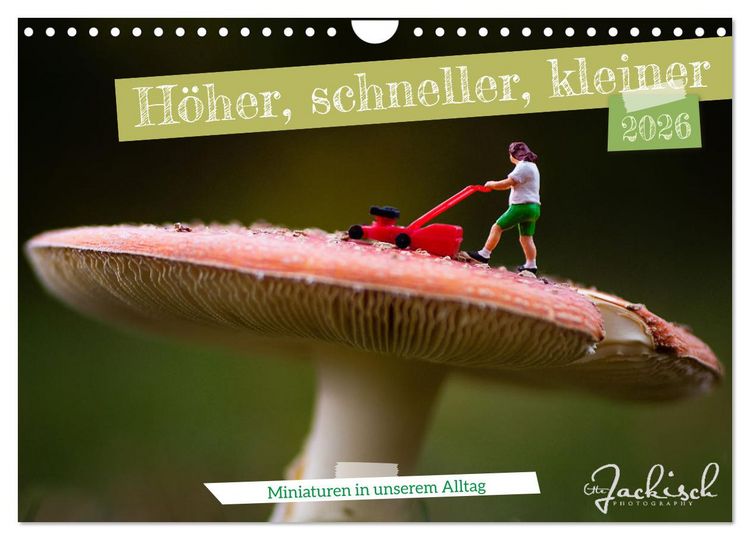 Produktbild: H&ouml;her, schneller, kleiner - Miniaturen in unserem Alltag (Wandkalender 2026 DIN A4 quer), CALVENDO Monatskalender