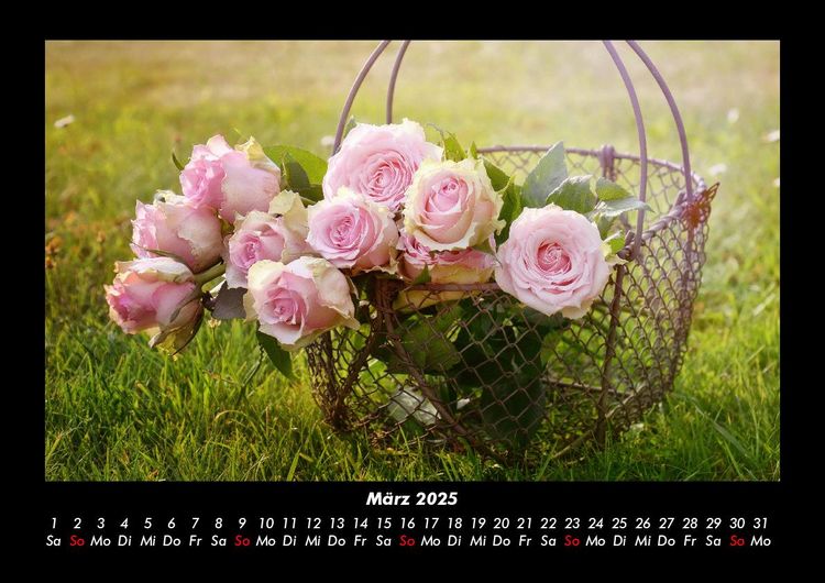 Produktbild: Rosen-Kalender 2025 Fotokalender DIN A3