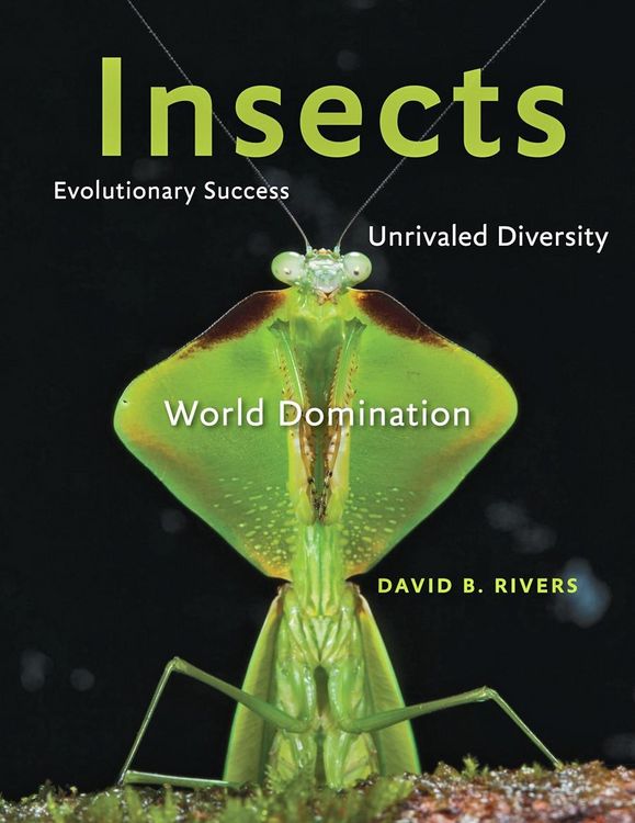 Produktbild: Insects