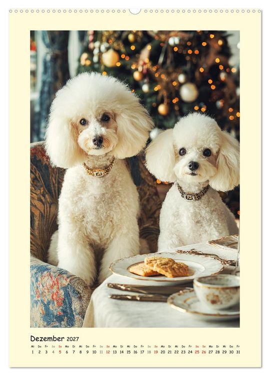 Produktbild: Pudelzauber. Flauschige Hunde f&uuml;r Herz und Seele (hochwertiger Premium Wandkalender 2027 DIN A2 hoch), Kunstdruck in Hochglanz