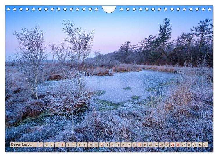 Produktbild: Deutschlands Moore (Wandkalender 2027 DIN A4 quer), CALVENDO Monatskalender