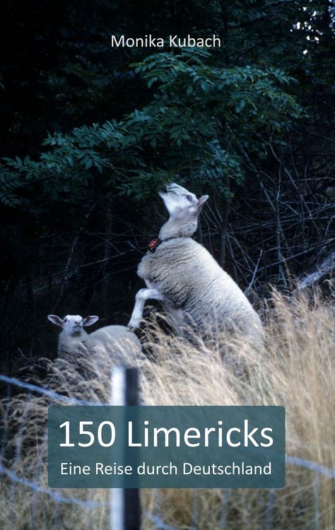 Produktbild: 150 Limericks