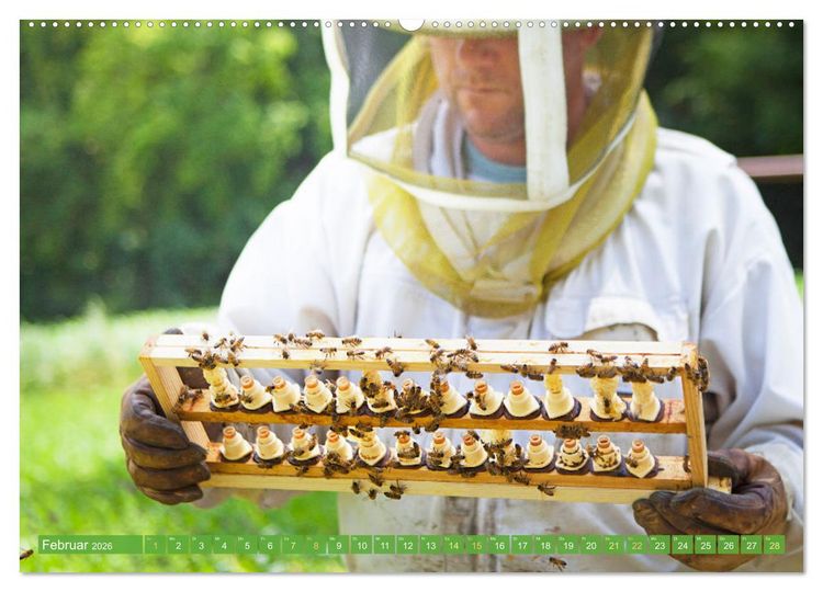 Produktbild: Der Imker: Leidenschaft f&uuml;r die Bienen (hochwertiger Premium Wandkalender 2026 DIN A2 quer), Kunstdruck in Hochglanz