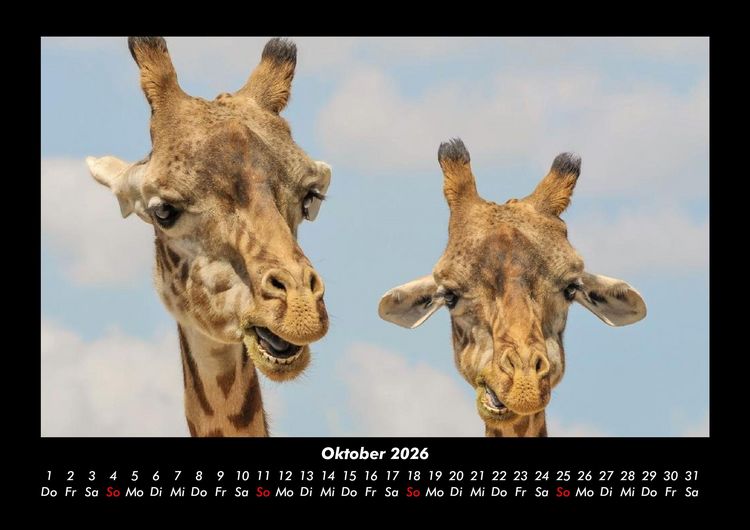Produktbild: Der Tierkalender 2026 Fotokalender DIN A3