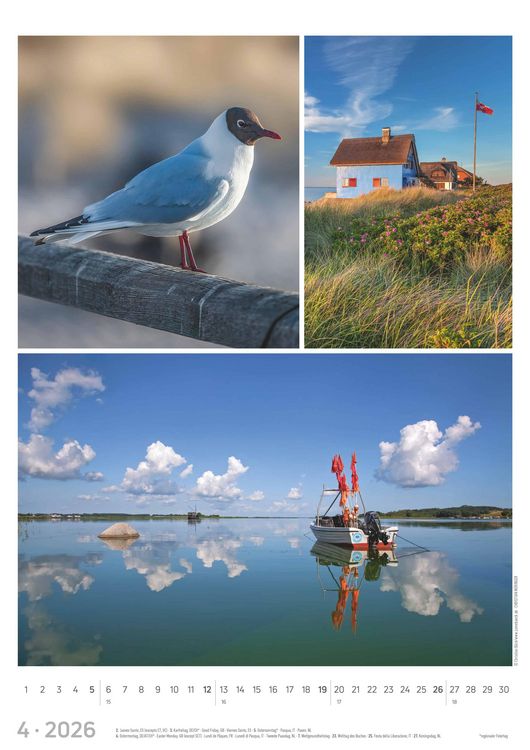 Produktbild: Strandgeflüster - Momente am Meer 2026 - Bildkalender A3 (29,7x42 cm) - mit Feiertagen - Triplets - drei Bilder pro Monat - Naturkalender - Wandplaner