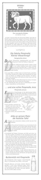 Produktbild: Paulines Küchenplaner 2026 - Streifenplaner - Wandplaner - Küchen-Kalender - 11,3x49,5