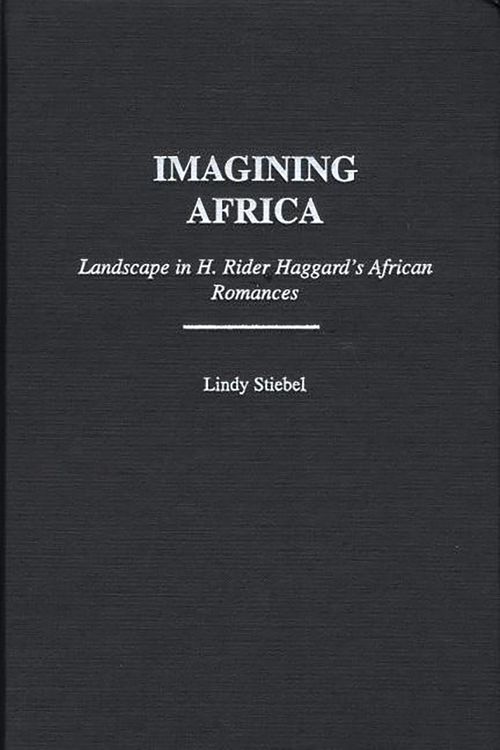 Produktbild: Imagining Africa